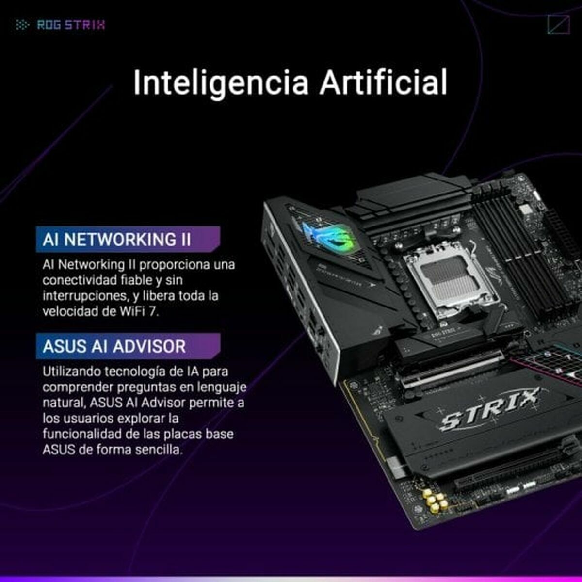 Motherboard Asus AMD AM5 AMD